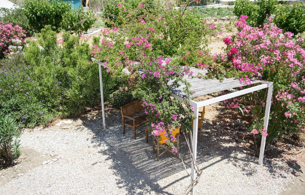 Porto Katapola Pension Extérieur photo