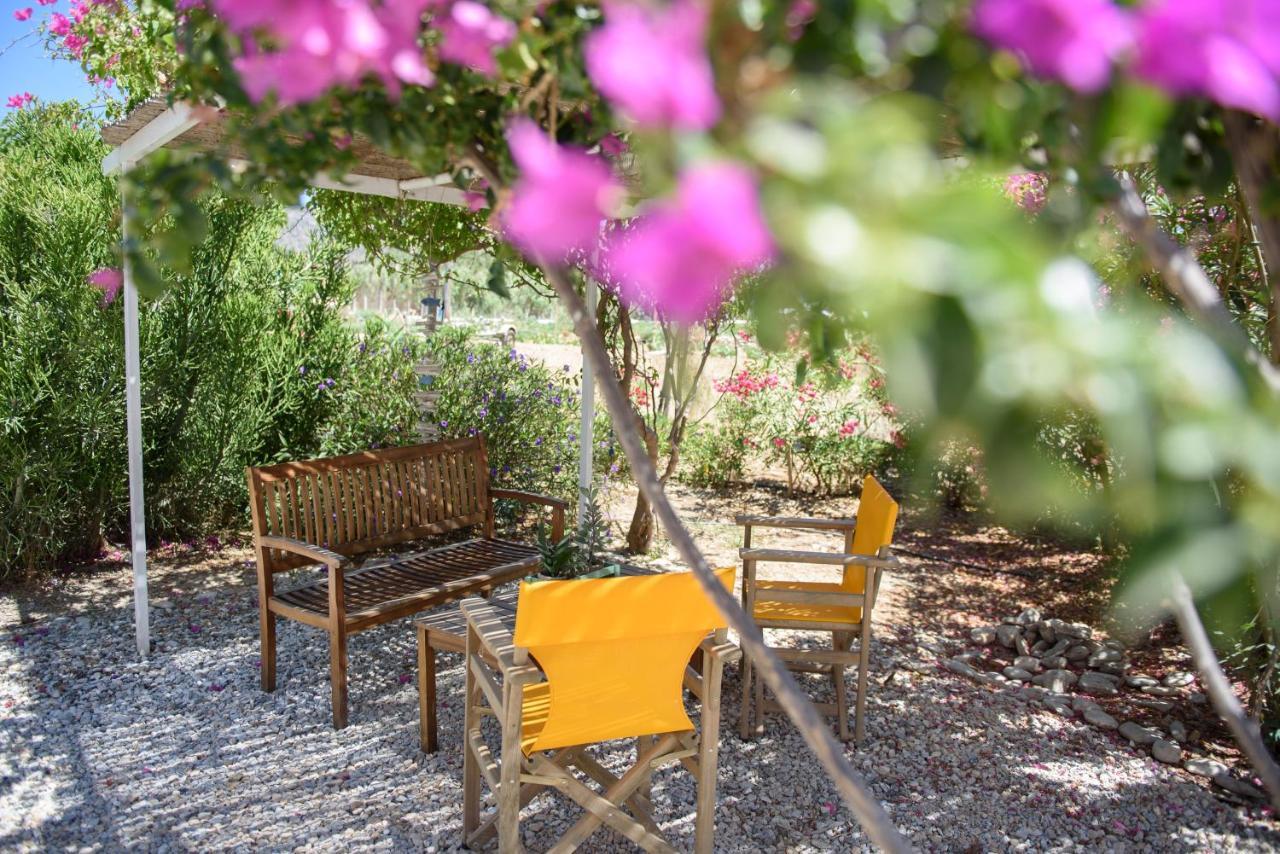Porto Katapola Pension Extérieur photo